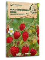 Samen Maier BIO Monatserdbeeren Rügen