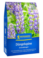 Kiepenkerl Gründünger Lupine