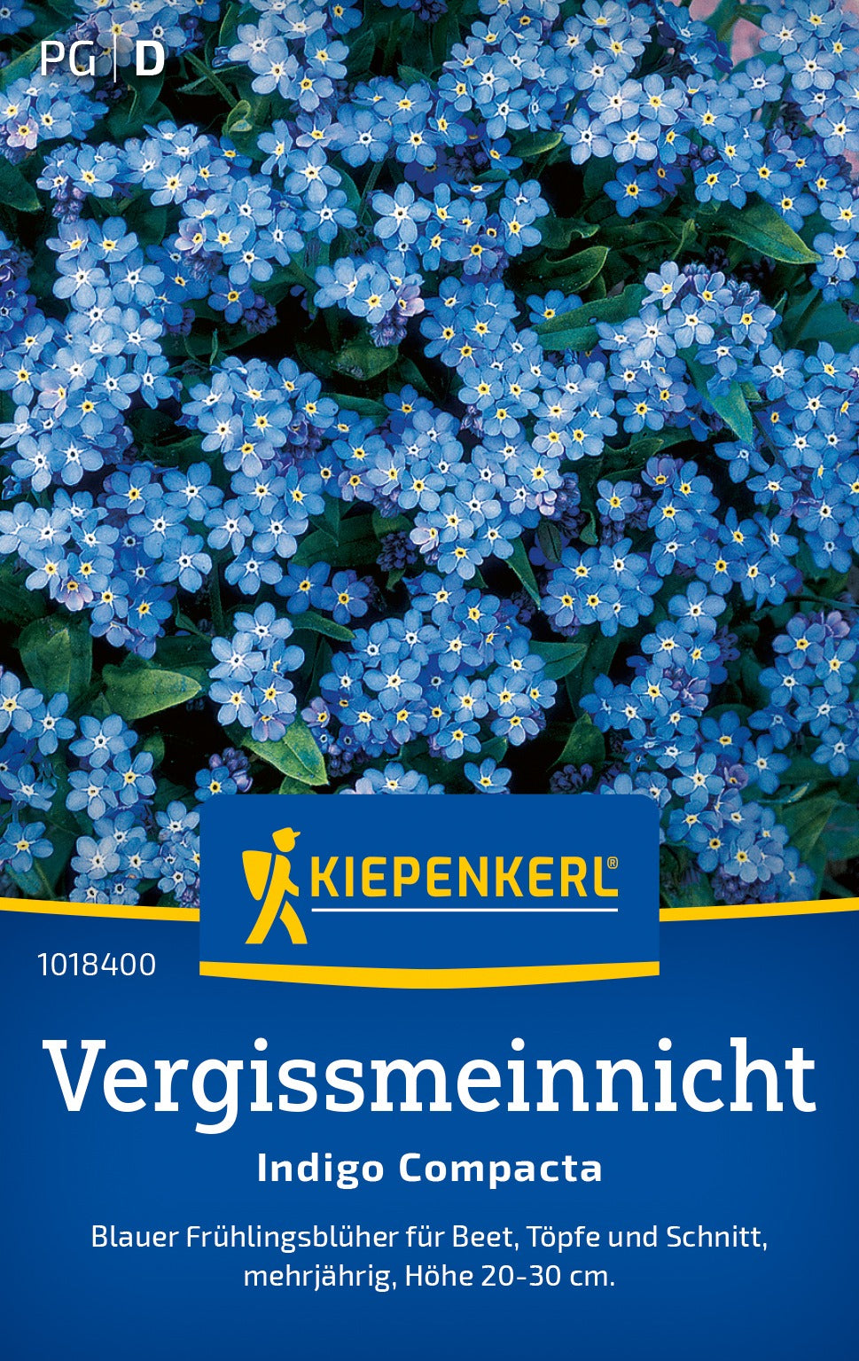 Kiepenkerl Vergissmeinnicht Indigo Compacta