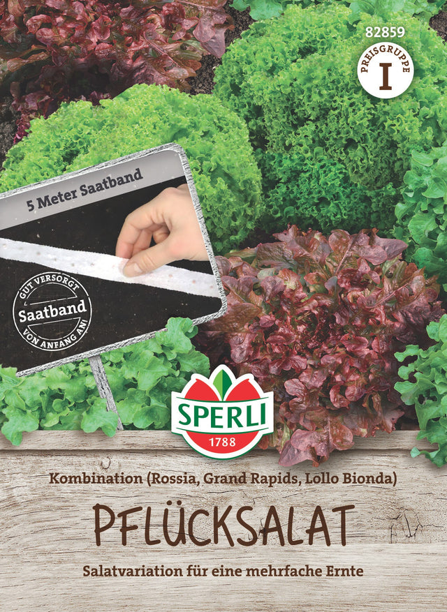 SPERLI Pflück- & Schnittsalat Kombination Rossia, Grand Rapids, Lollo Bionda Saatband