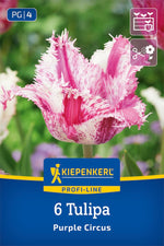 Profi-Line Gefranste Tulpe Purple Circus