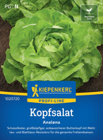 Kiepenkerl Kopfsalat Analena