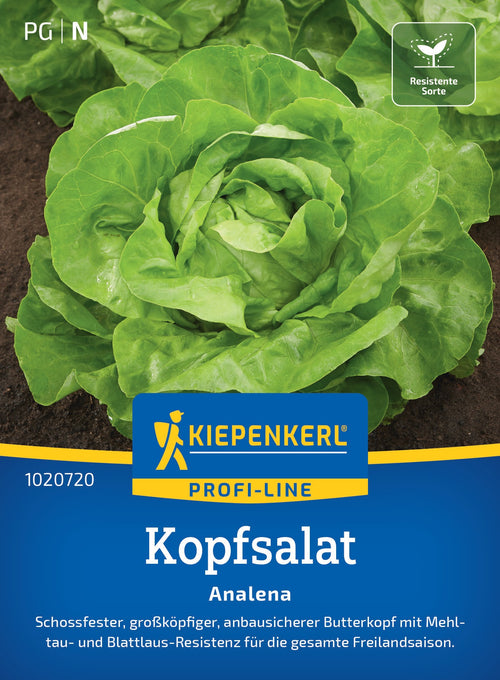 Kiepenkerl Kopfsalat Analena