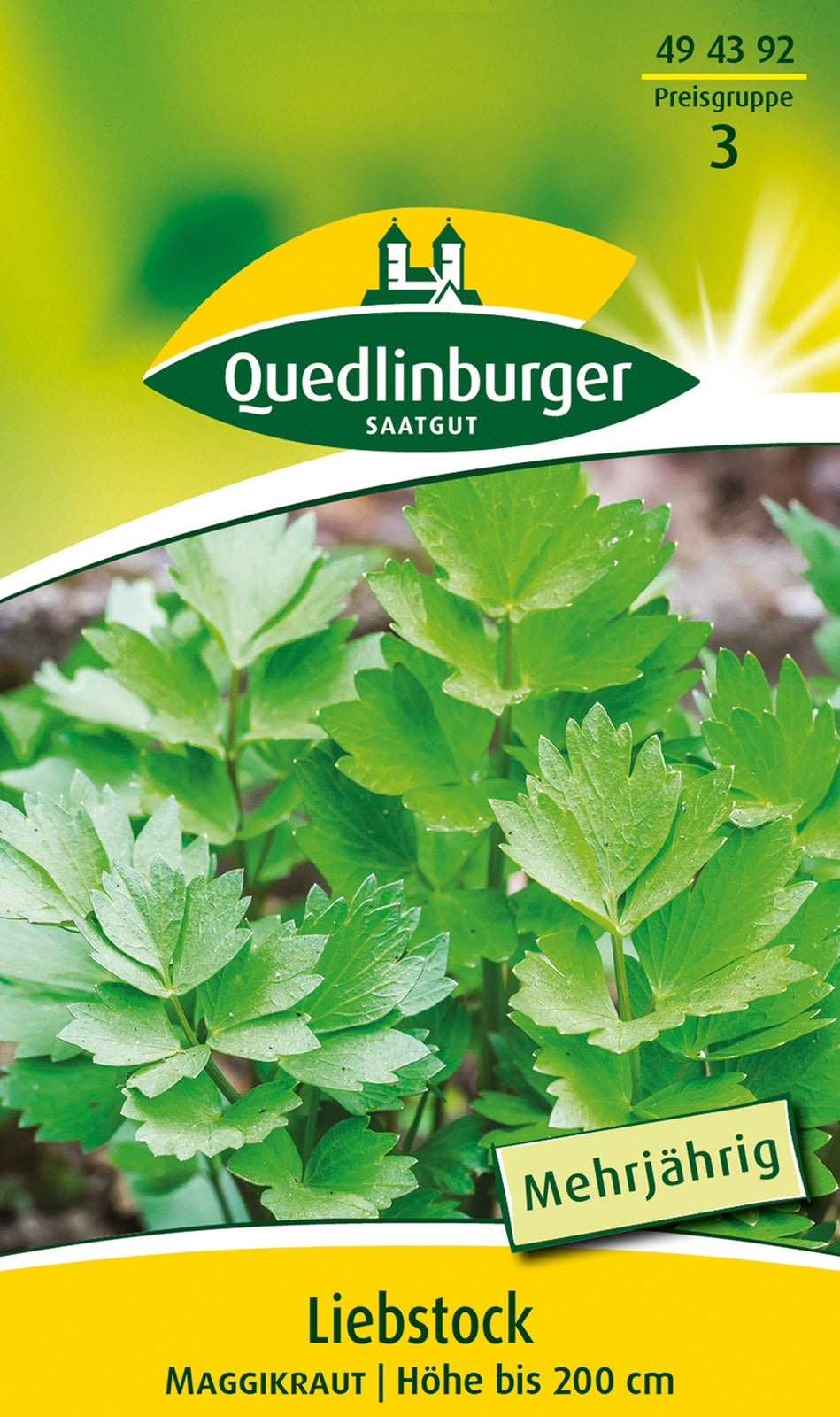 Quedlinburger Liebstöckel Maggikraut mehrjährig