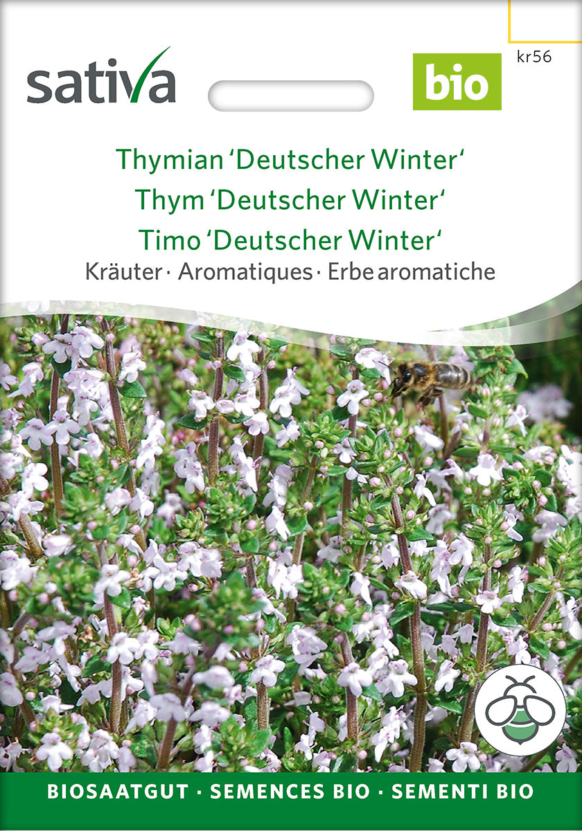Sativa Thymian Deutscher Winter