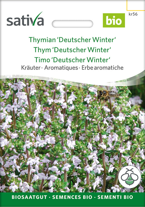 Sativa Thymian Deutscher Winter