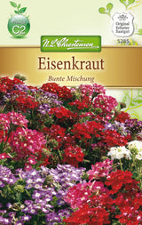 N.L. Chrestensen Verbena Eisenkraut, bunte Mischung