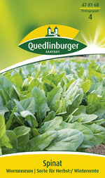 Quedlinburger Herbst- & Winterspinat Winterriesen