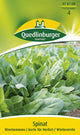 Quedlinburger Herbst- & Winterspinat Winterriesen
