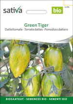 Sativa Datteltomate Green Tiger