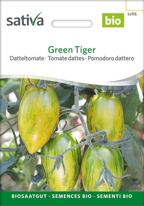 Sativa Datteltomate Green Tiger