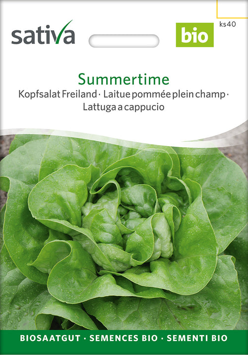 Sativa BIO Kopfsalat Freiland Summertime