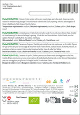 Sativa Zwiebelsamen Fiola KS (SAT 15)