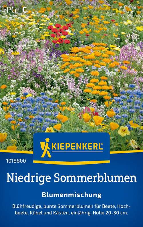Kiepenkerl Blumensamen-Mischung Niedrige Sommerblumen