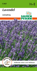 Samen Pfann Lavendel Mehrjährig