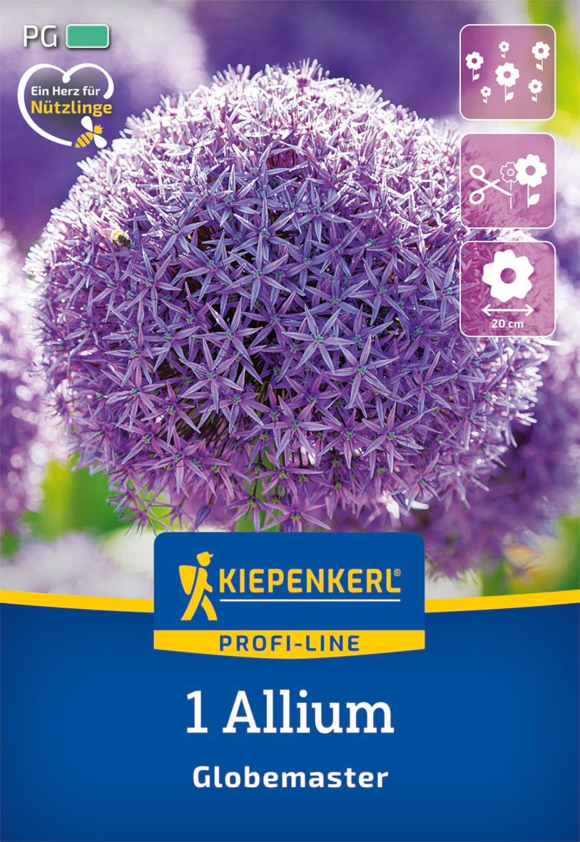 Profi-Line Zierlauch Globemaster