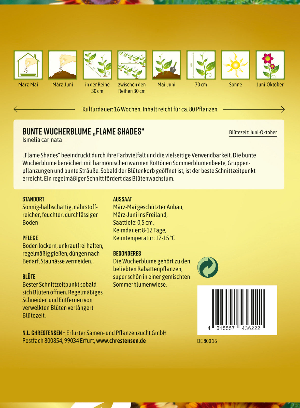 N.L. Chrestensen Bunte Wucherblume AV Flame Shades