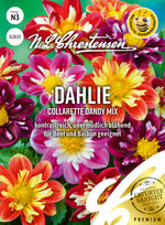 N.L. Chrestensen Dahlie Collarette Dandy Mix