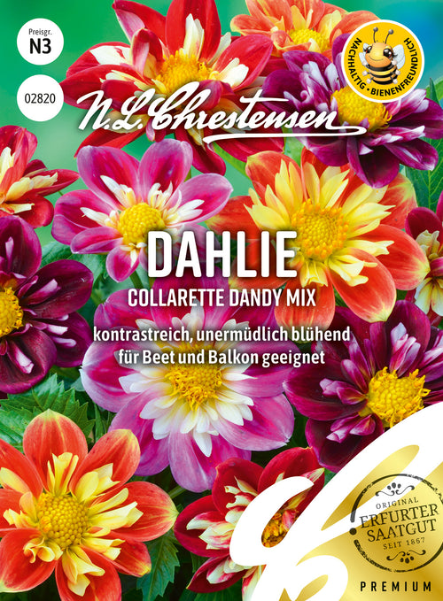 N.L. Chrestensen Dahlie Collarette Dandy Mix