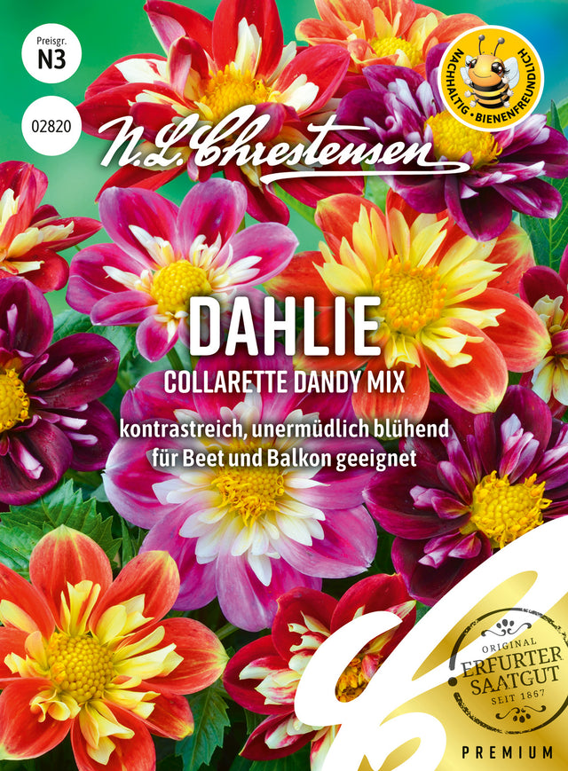 N.L. Chrestensen Dahlie Collarette Dandy Mix