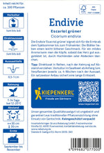 Kiepenkerl Endiviensalat Escariol grüner