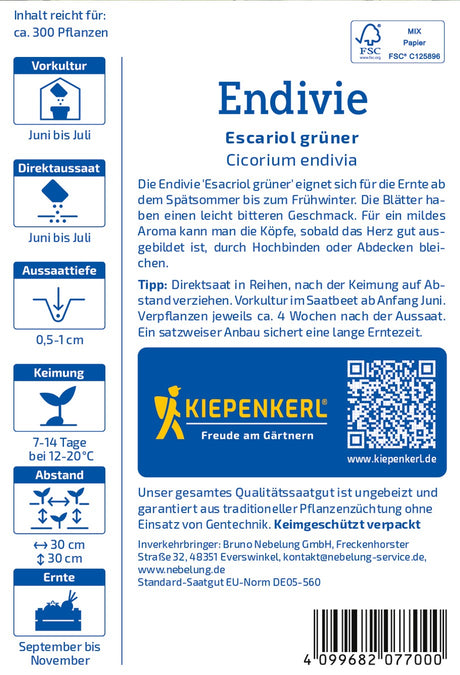 Kiepenkerl Endiviensalat Escariol grüner