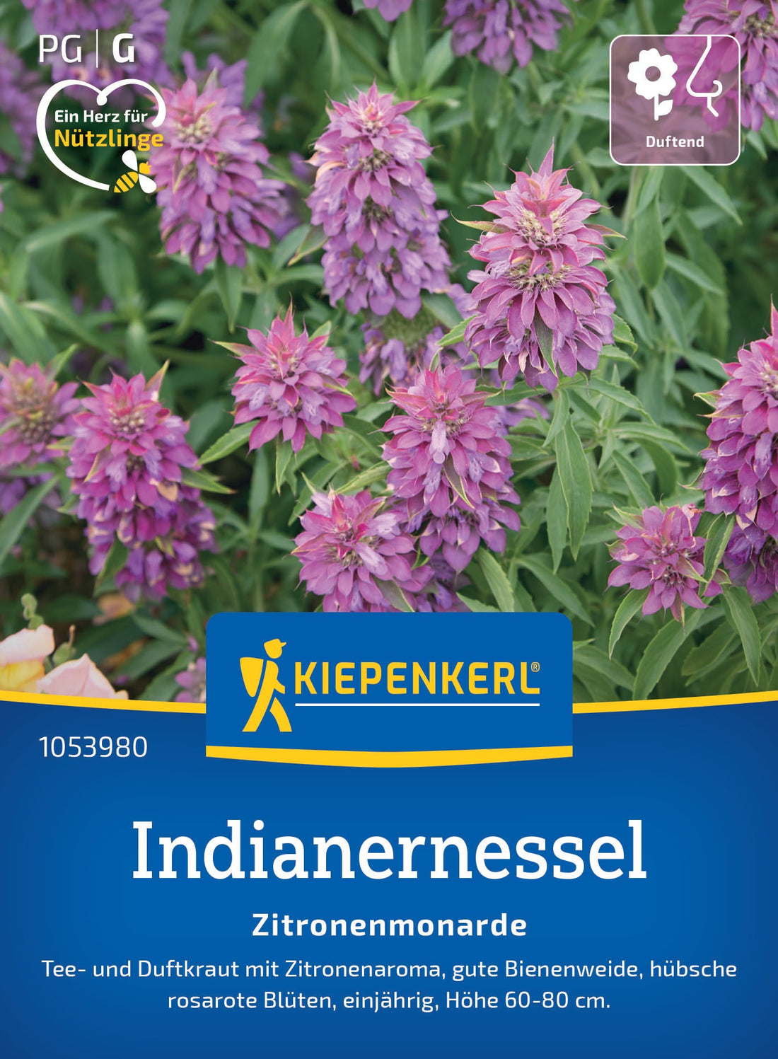 Kiepenkerl Indianernessel Zitronenmonarde