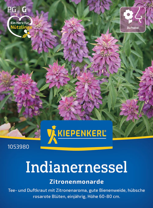 Kiepenkerl Indianernessel Zitronenmonarde