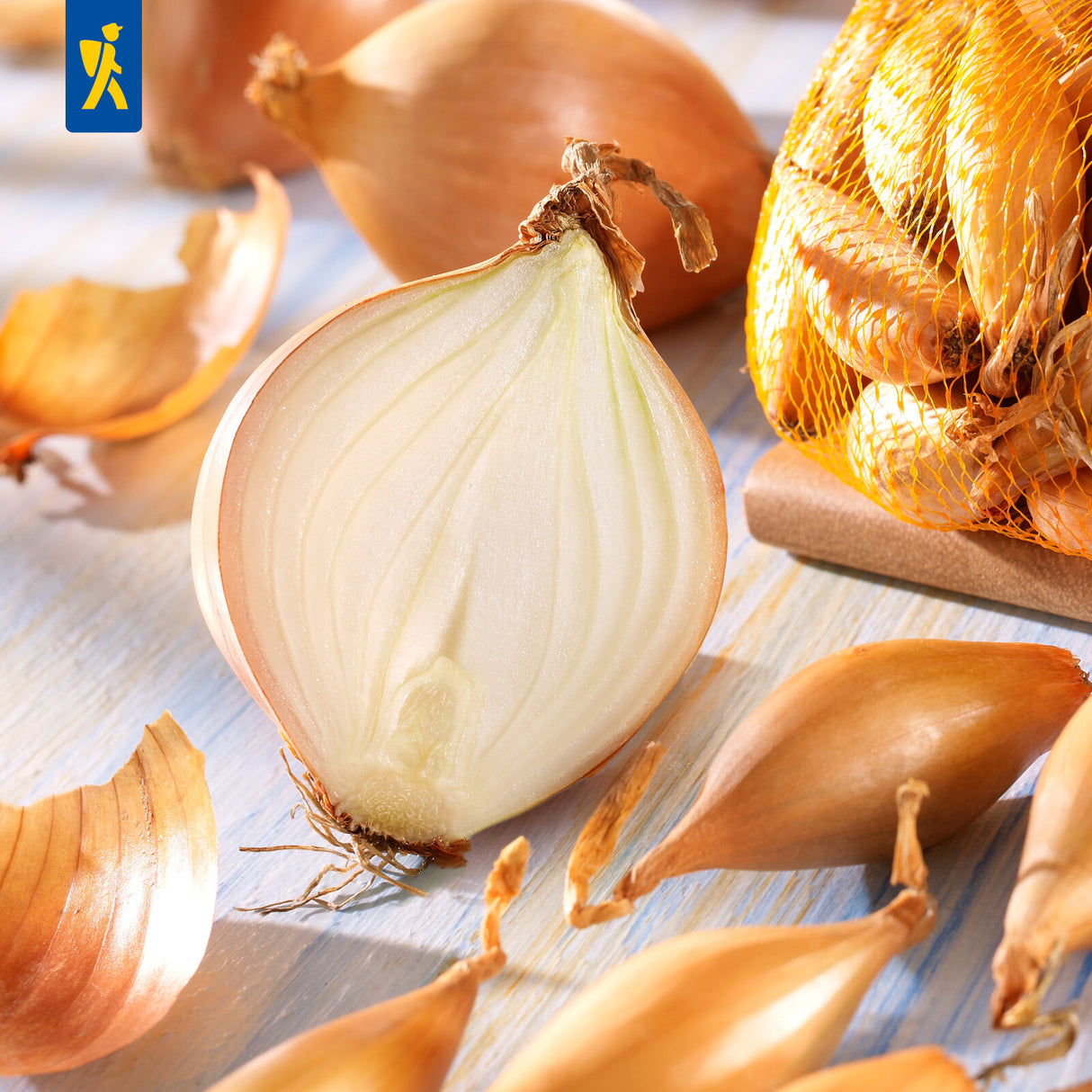 Kiepenkerl Steckzwiebel Birnenförmige 250 g