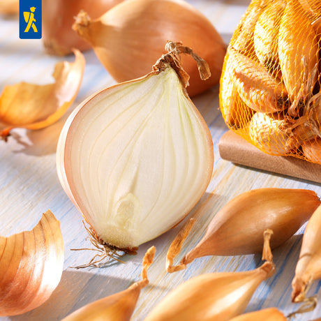 Kiepenkerl Steckzwiebel Birnenförmige 250 g