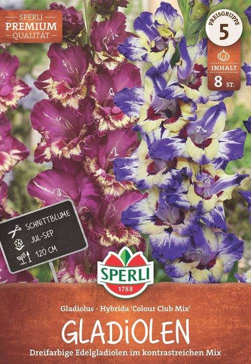 SPERLI Gladiole Club Mix