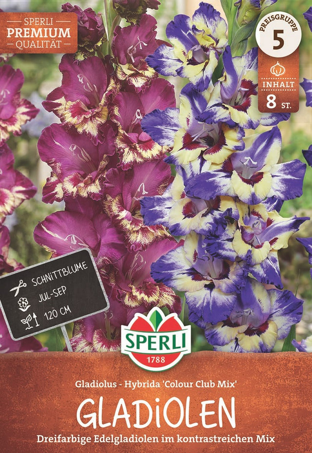 SPERLI Gladiole Club Mix