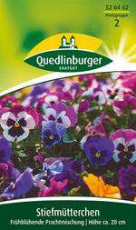 Quedlinburger Stiefmütterchen frühblühende Prachtmischung