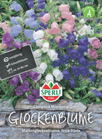 SPERLI Glockenblume Campana Mischung