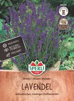 SPERLI Lavendel SPERLI's Blaues Wunder