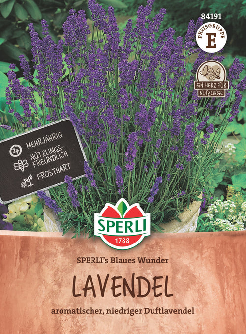 SPERLI Lavendel SPERLI's Blaues Wunder