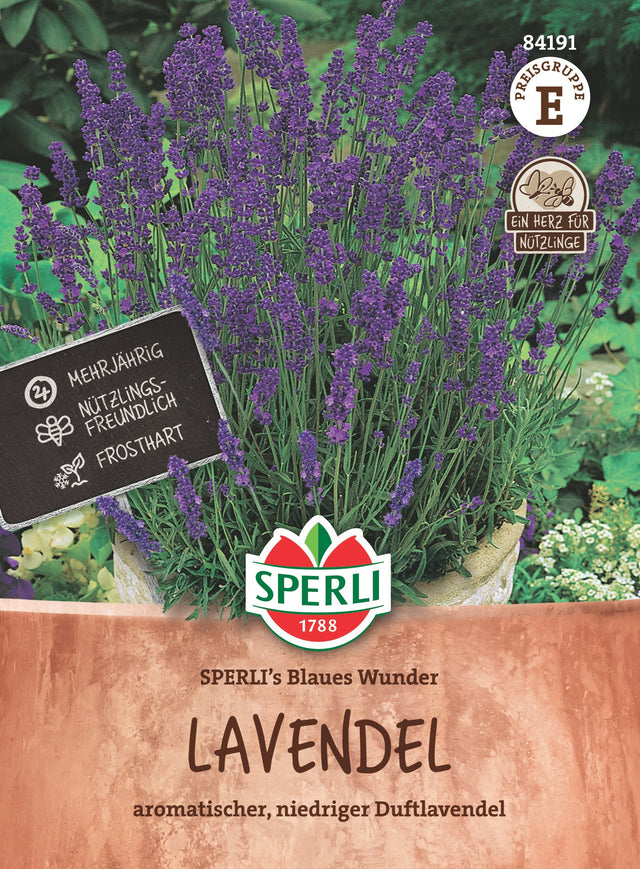 SPERLI Lavendel SPERLI's Blaues Wunder