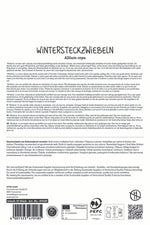SPERLI Gelbe Wintersteckzwiebel Winteria 50 Stück