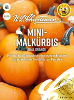 N.L. Chrestensen Mini-Malkürbis Ball Orange