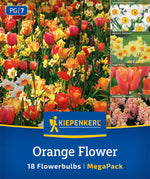 Mega Pack Orange Flower