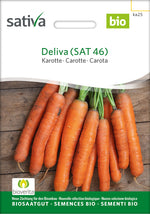Sativa Karotte Deliva (SAT 46)
