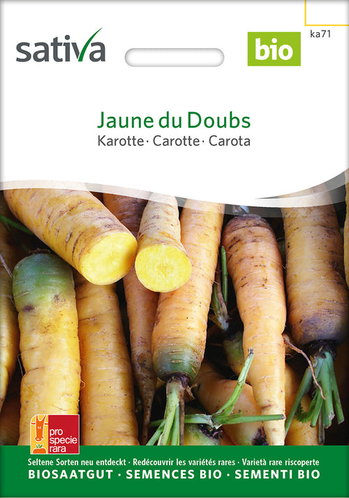 Sativa Karotte Jaune du Doubs