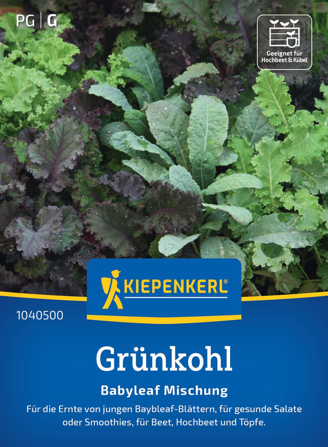 Kiepenkerl Kohl Babyleaf Mischung