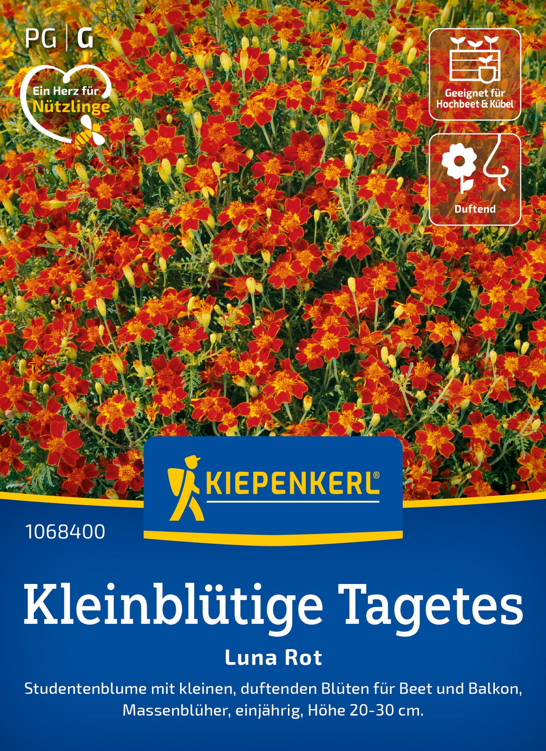 Kiepenkerl Studentenblumen Luna Rot
