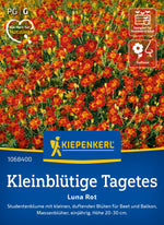 Kiepenkerl Studentenblumen Luna Rot