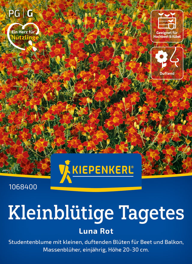 Kiepenkerl Studentenblumen Luna Rot
