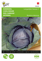Buzzy Seeds Rotkohl Langedijker Dauer 2