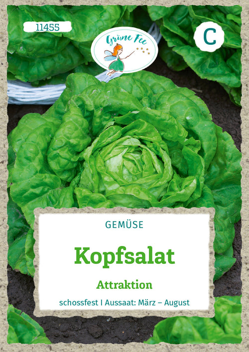 Grüne Fee Kopfsalat Attraktion