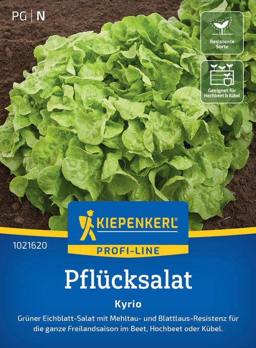 Kiepenkerl Pflück- & Schnittsalat Kyrio