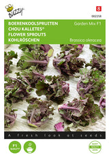 Buzzy Seeds Kohlröschen Kalettes® F1 Garten Mischung